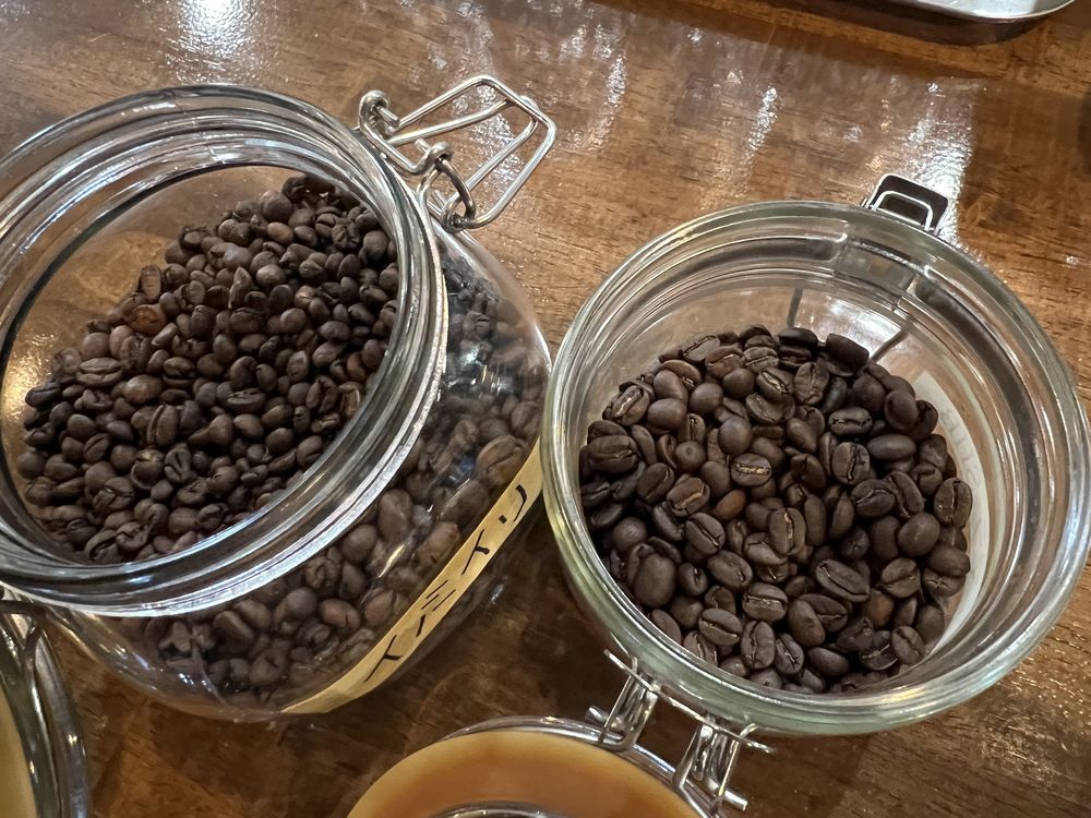 コーヒー豆の大きさの比較