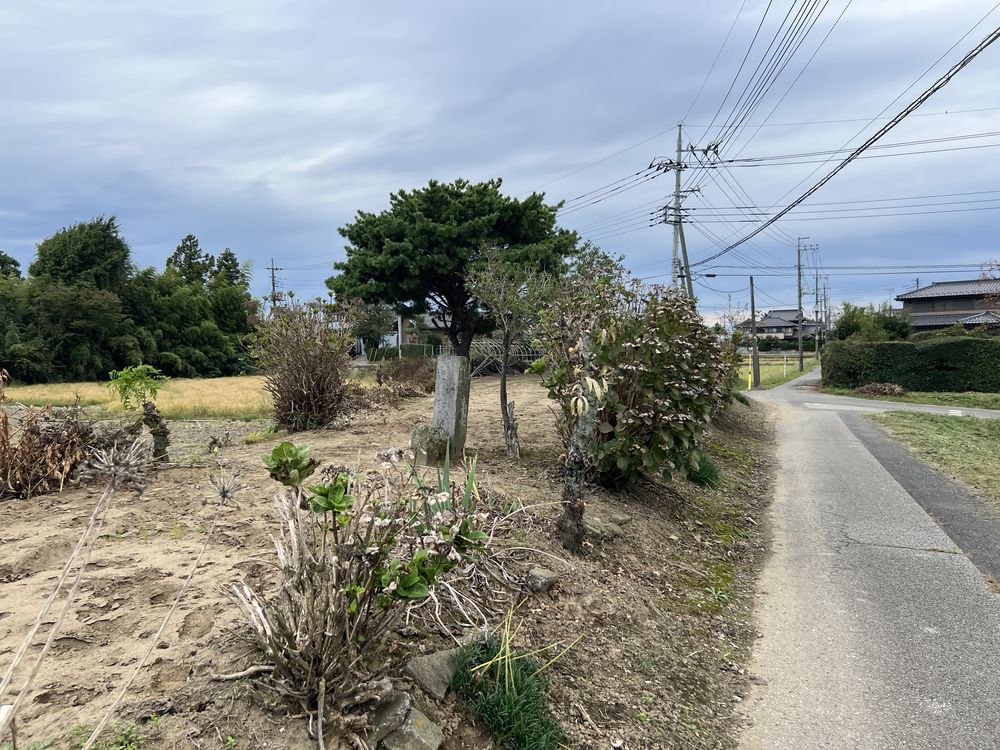 八大龍王文字塔｜松伏町大川戸（旧古利根川堤防上）