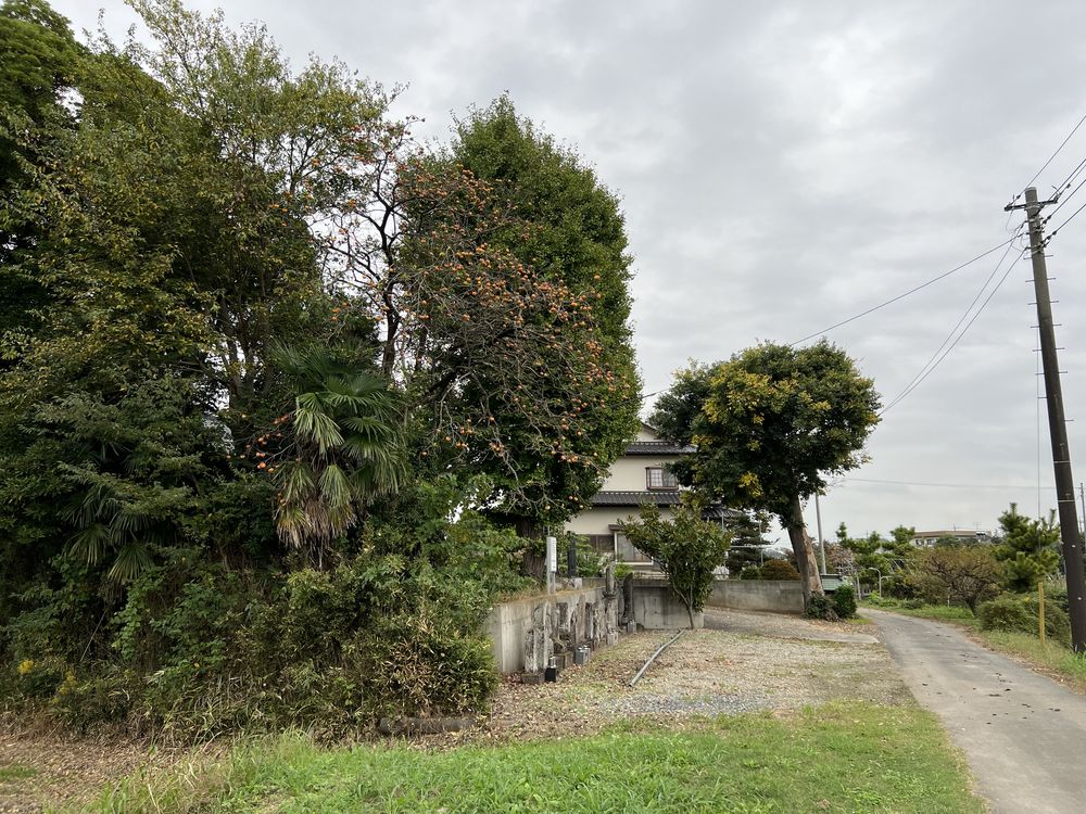 覚性寺｜松伏町金杉