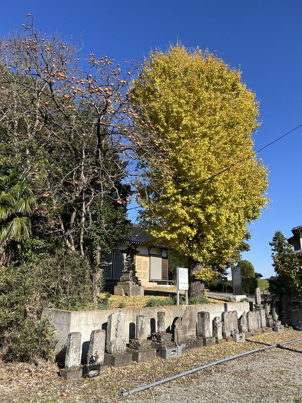 覚性寺の石仏群