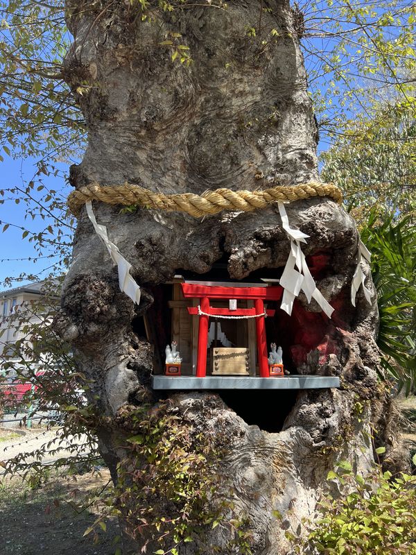 欅稲荷｜桶川稲荷神社