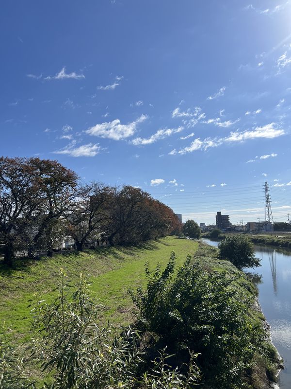 冬日和の元荒川