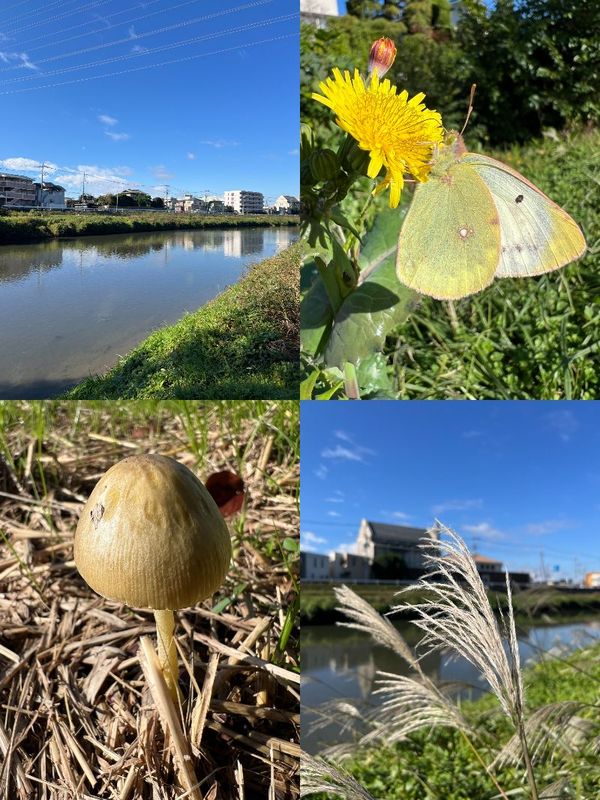 小春日の元荒川