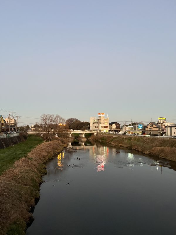 元荒川|越谷市大沢