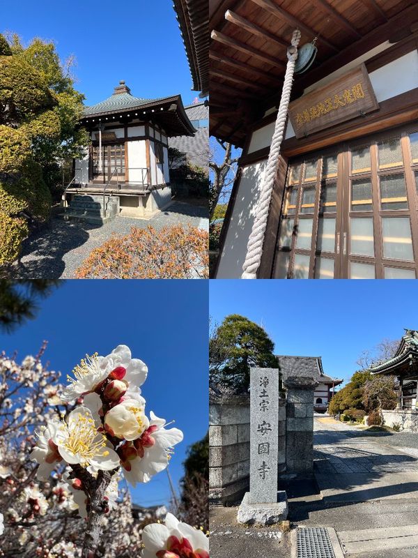 閻魔堂|越谷市安國寺