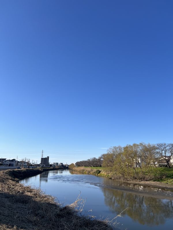 中洲|冬の元荒川