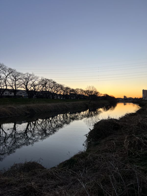 冬の朝|越谷市神明町・元荒川緑道