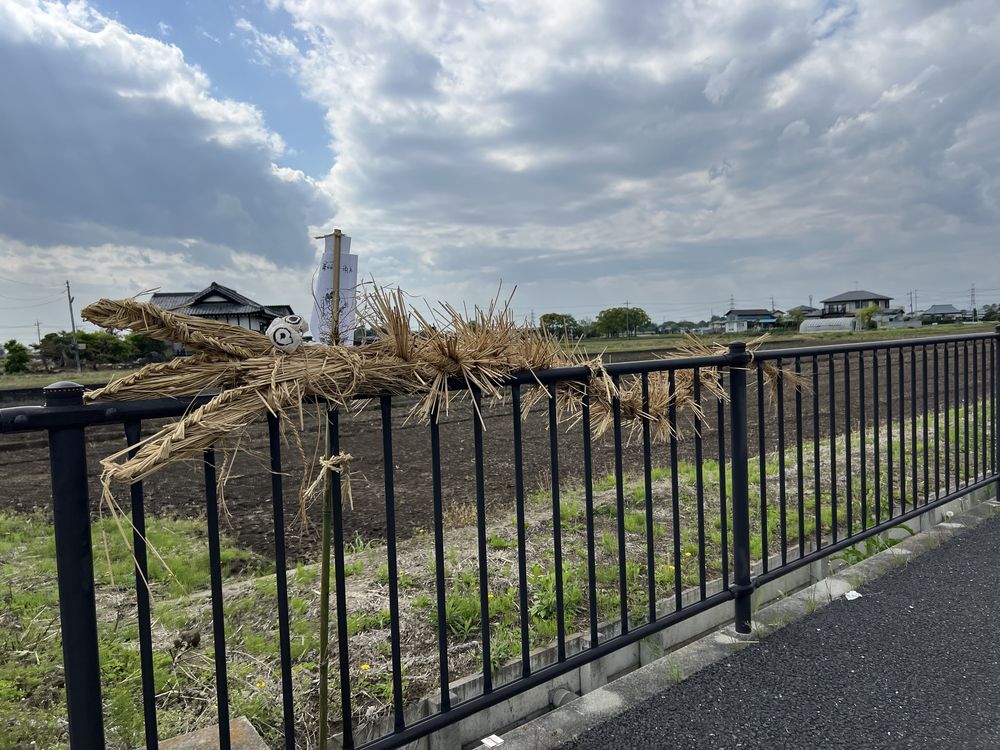 藁の蛇｜幸手市惣新田