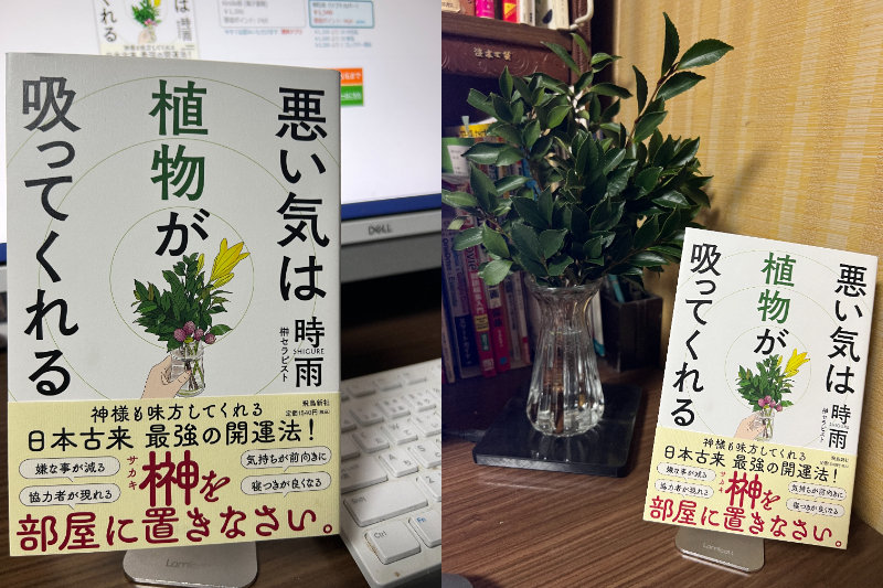 榊を部屋に置いて『悪い気は植物が吸ってくれる』（飛鳥新社）の浄化法を試したところ…