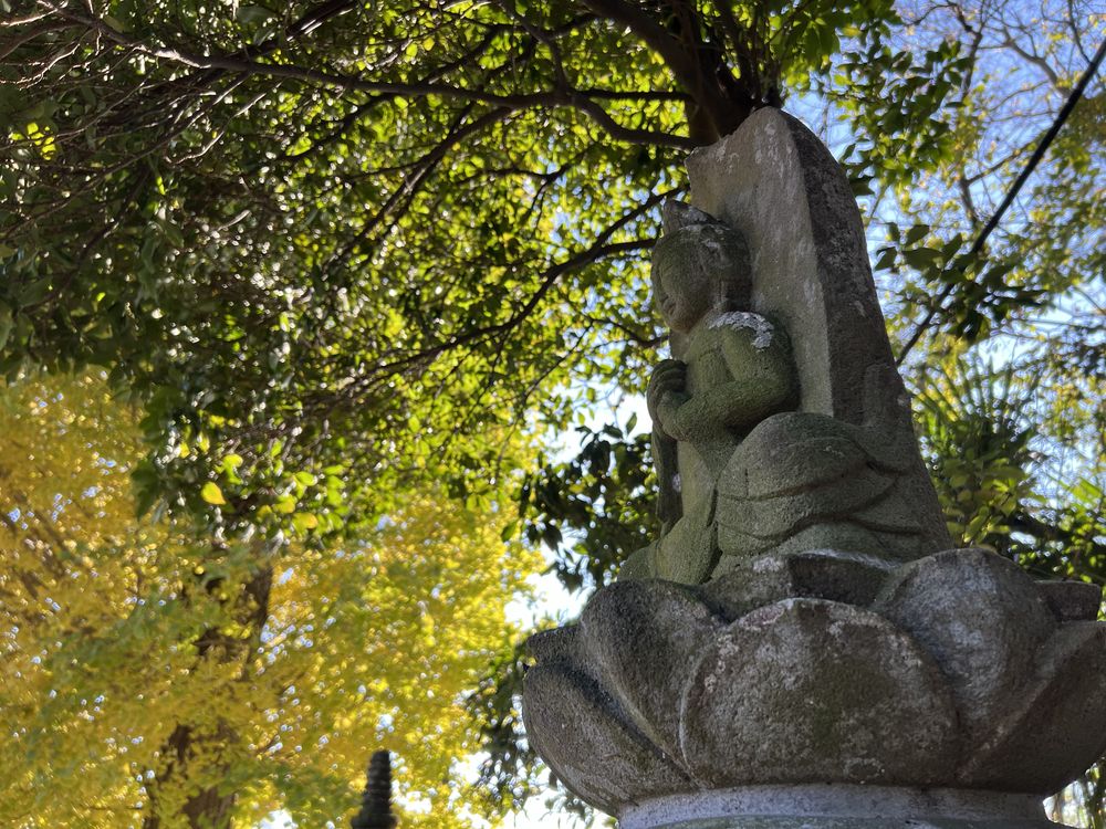 覚性寺の供養塔｜松伏町金杉