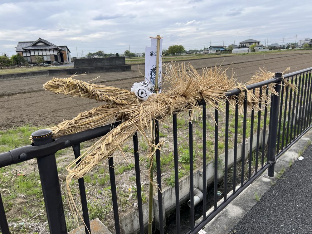 藁の大蛇（辻縄）