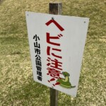 ヘビに注意! ヘビに注意!