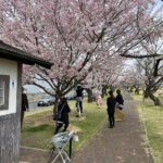 着物撮影会 着物撮影会