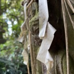 青面金剛 青面金剛