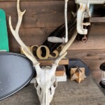 トナカイ トナカイ